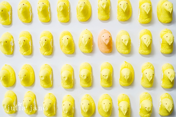still life photography by connecticut photographer julia jane studios